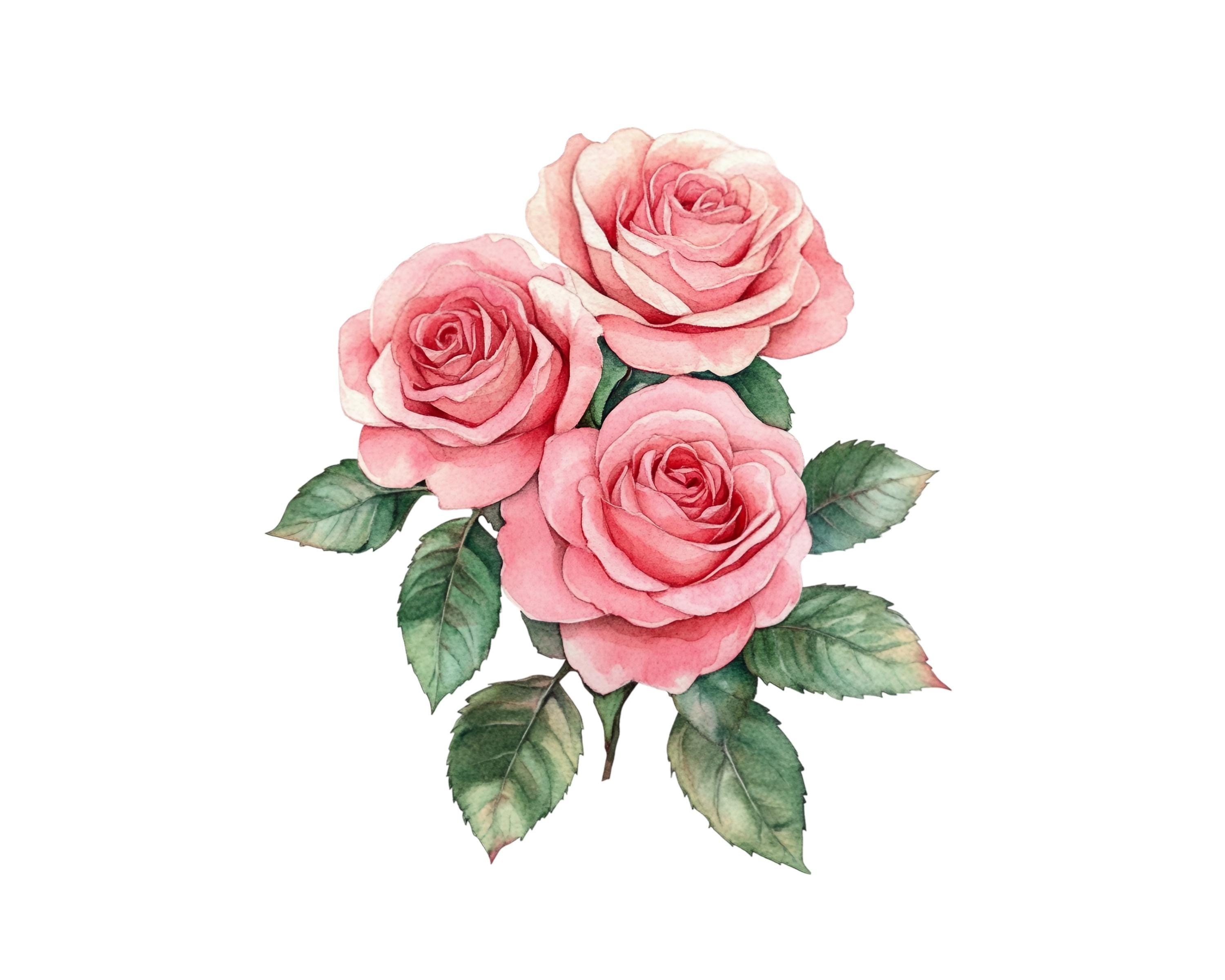 10 Pink Roses Floral Clipart Images, PNG Instant Download Files ...