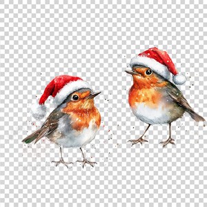 Christmas Robin Clipart Bundle, PNG Instant Download File, Watercolor ...
