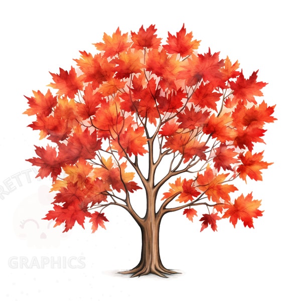 Maple Tree Clipart, PNG Instant Download File, Watercolour Tree Digital Design For Crafting