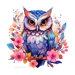 Clipart del gufo floreale dell'acquerello, File di download istantaneo PNG, Design digitale per l'artigianato, Creazione di carte, Arte stampabile