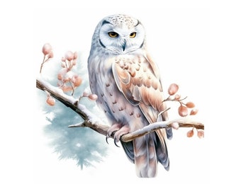 Snow Owl Watercolor Clipart No.3, JPG Digital Download, Card Making, Scrapbook Clipart, Digital Paper Craft, Journaling