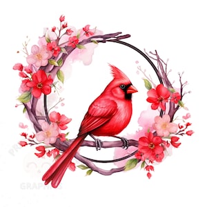 Clipart cadre cardinal rouge, fichier de téléchargement instantané PNG, conception numérique d’oiseau floral, art imprimable