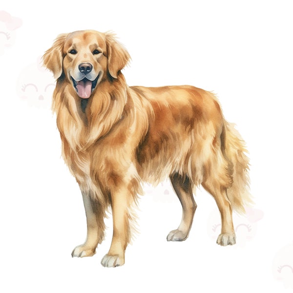 Watercolor Golden Retriever Dog Clipart, PNG Digital Download, Printable Art, Digital Paper Craft