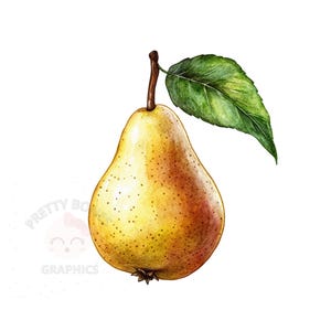 Clipart di pere, file PNG scaricabile immediatamente, design digitale per creazioni artigianali, clipart acquerello, arte stampabile