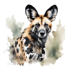 Clipart di cani selvatici africani, file di download immediato PNG, design digitale per l'artigianato, arte stampabile