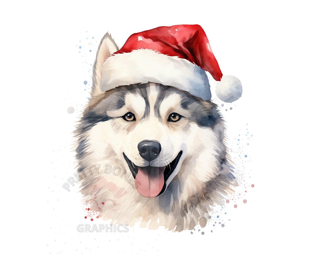Watercolor Christmas Husky Clipart, PNG Instant Download File, Digital ...