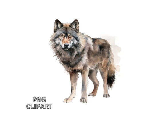 Wolf png graphic clipart design 19152493 PNG