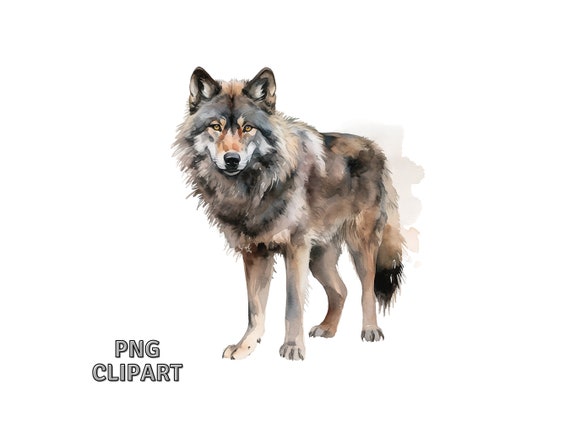 Wolf png graphic clipart design 19152493 PNG