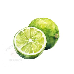 Limette Frucht Clipart, PNG, sofortiger Download, digitales Design zum Basteln, druckbare Kunst, Aquarell Clipart