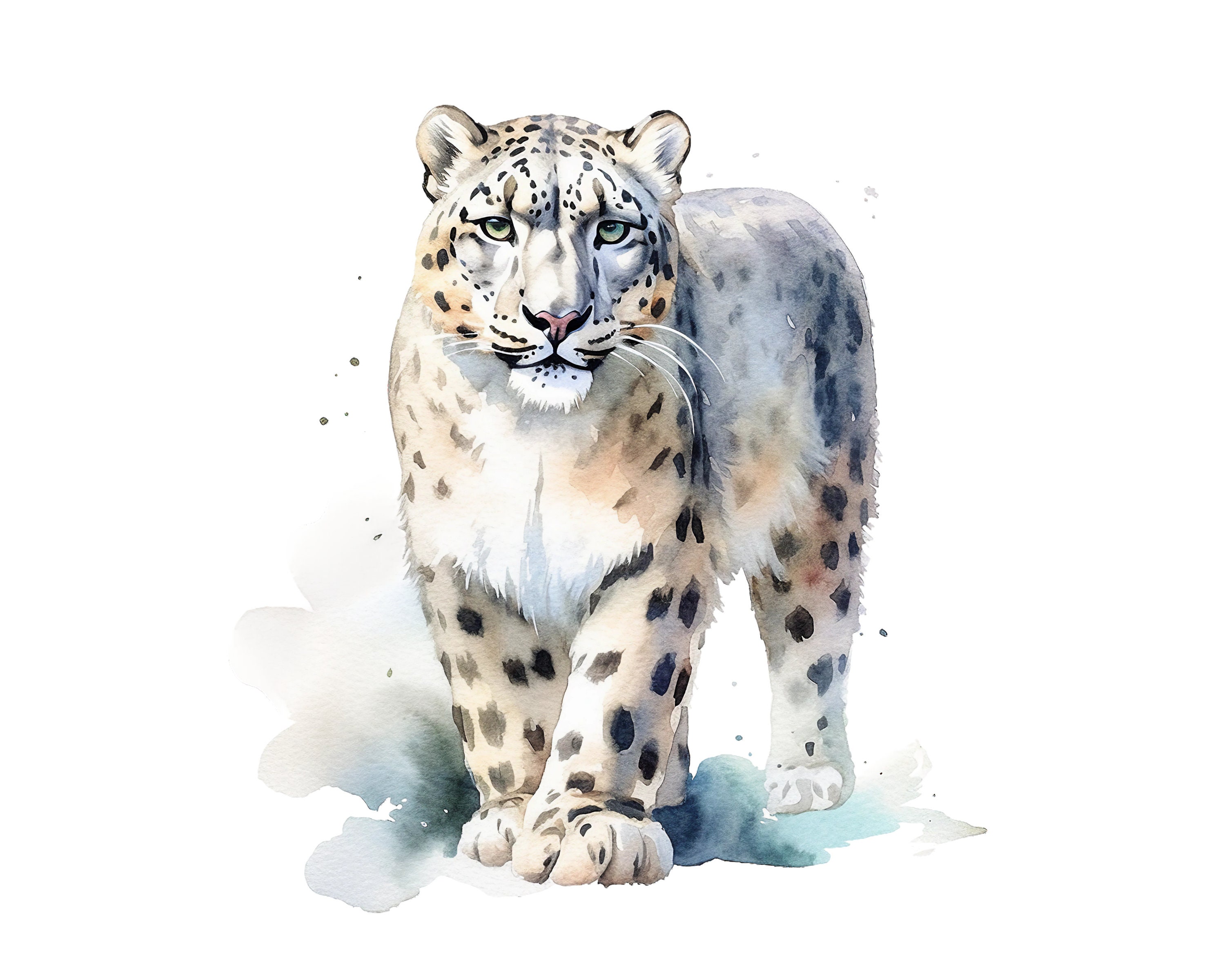 Watercolor Snow Leopard PNG Clipart, Digital Download, Card Making Clipart,  Digital Paper Craft, Printable Art