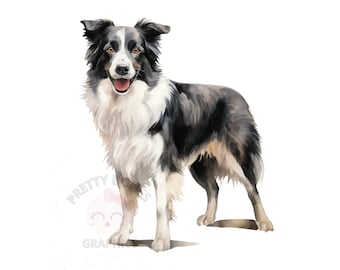 Border Collie Clipart, PNG Instant Download File, Digital Design For Crafting, Printable Art