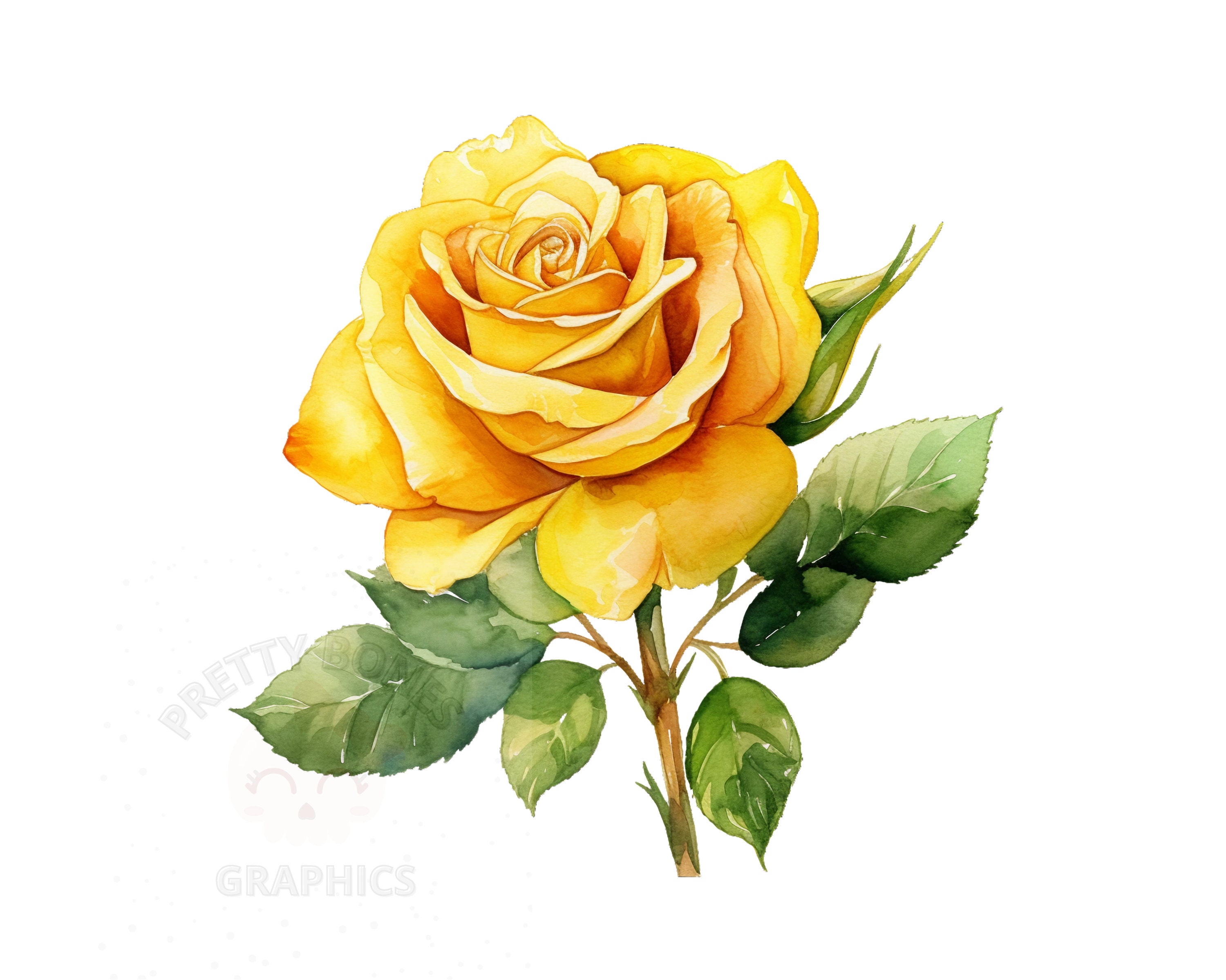 Watercolor Yellow Rose Clipart, PNG Instant Download File, Digital ...
