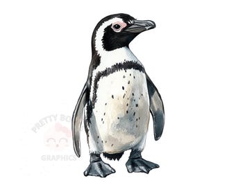 Afrikanischer Pinguin Clipart, sofortiger Download PNG-Datei, digitales Design zum Basteln, druckbare Kunst, Aquarell Clipart