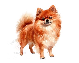 Pommern Hund Clipart, PNG Dateien zum sofortigen Download, digitales Design zum Basteln, druckbare Kunst, Aquarell Clipart