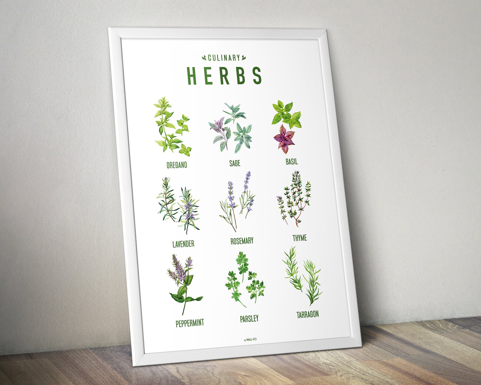 CULINARY HERBS Printable Wall Art Poster Gift for Herb | Etsy