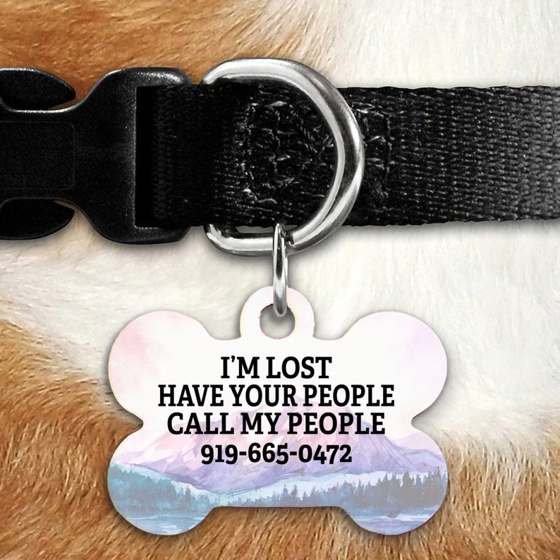 custom pet accessories