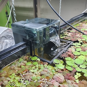 May include: A clear aquarium filter with a black frame and a water flow cascading into a tank filled with green and red aquatic plants.