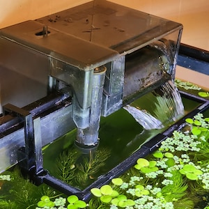 May include: A black aquarium filter with a clear water flow cascading into a tank filled with green aquatic plants.