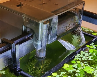 Barrière de jardin flottante XL de 30 cm (12 po.) - autonivelante + plante mystère gratuite !