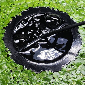 May include: A black circular pond filter with a black hose attached. The filter is surrounded by green aquatic plants.