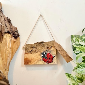Ladybird painting, uk wildlife, animal art, wood slice, original art, handpainted.