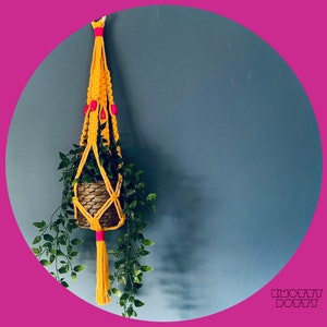 Può includere: Un portavasi in macramè giallo con perline rosa è appeso a un muro blu. Una piccola pianta in vaso è nel portavasi.