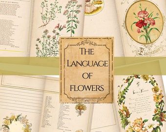 10 Floral Junk Journal pages | Flower Printable sheets | Language of Flowers | Botanical Journal kit | Paper Ephemera | Digital Download