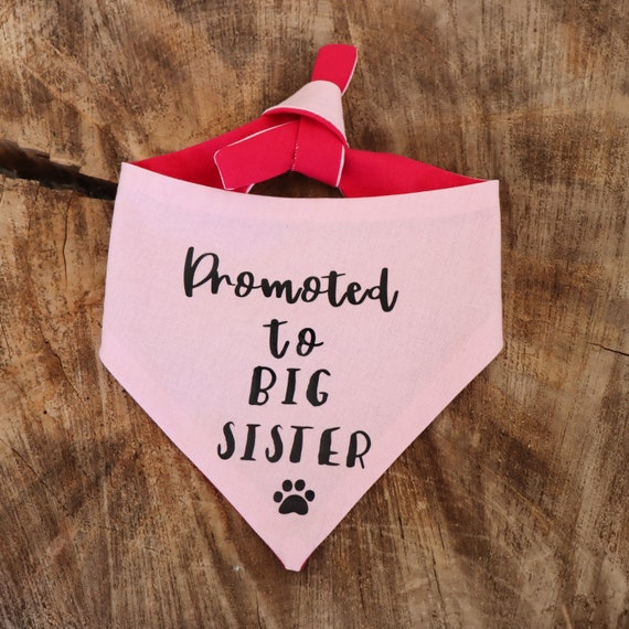 Hundehalstuch „Promoted To Big Sister“ – Aus Weichem Flanell, 63,5x43,2 Cm, Für Kleine Bis Große Hunde (rosa Druck)