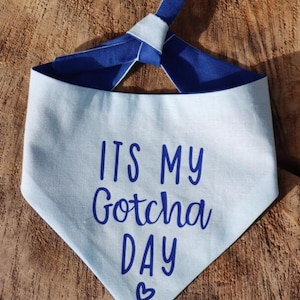 Bandana reversible del día Gotcha