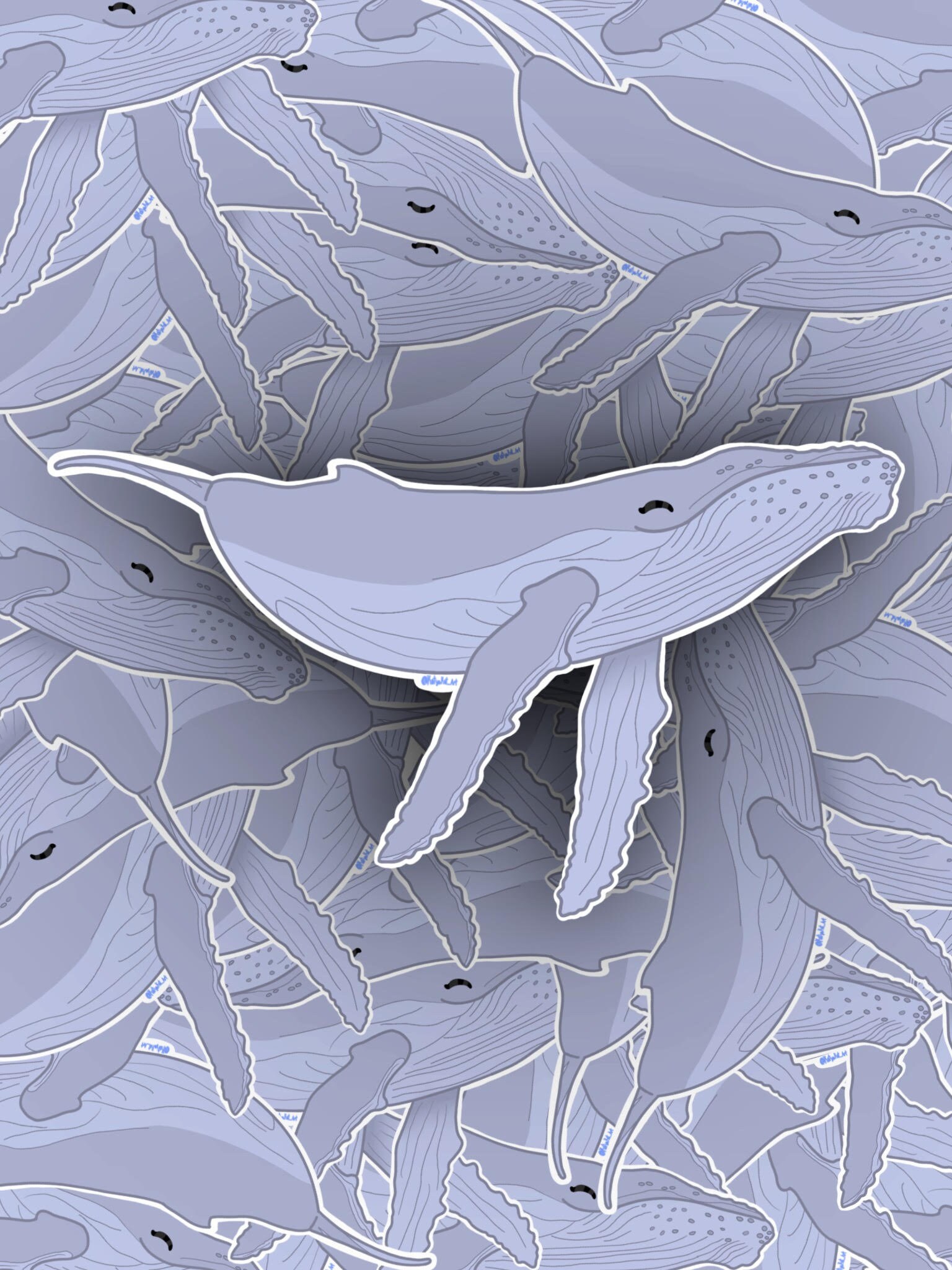 Whale Sticker