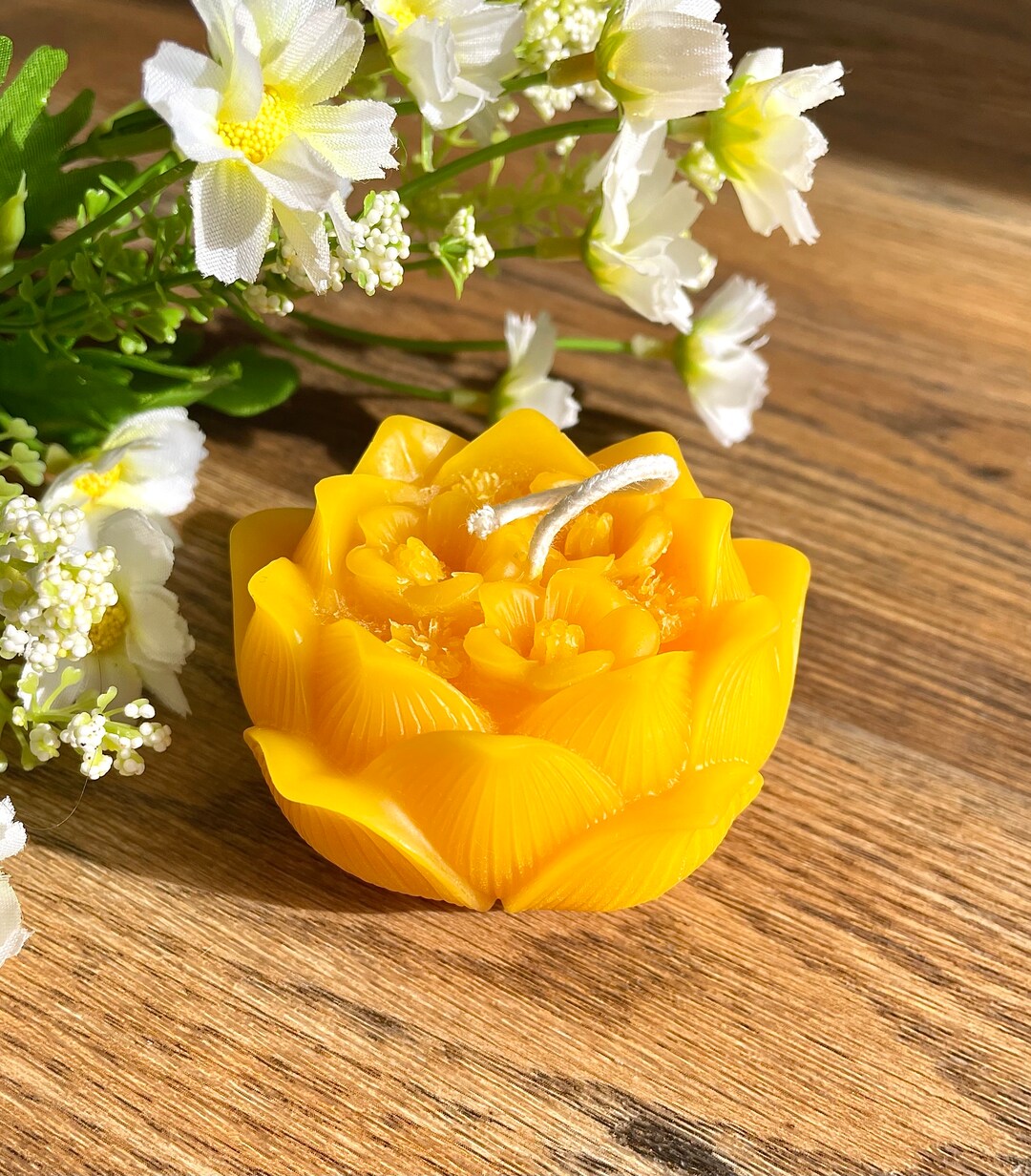 100 Pure Beeswax Lotus Flower Pot Candle Candle Gift Etsy