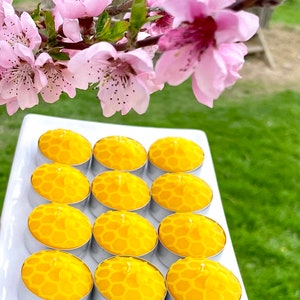 Dozen pure beeswax honey bee tealight candles - 100% pure - bee themed gift
