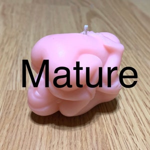 bijenwas 69 kaars - propcadeau voor hem haar - vrijgezellencadeau - cadeau voor volwassenen