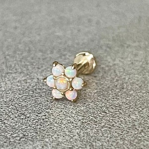 16G 6mm 8mm Solid Gold Cartilage Tragus Labret Piercing Internally Threaded Flat Back Cartilage Stud Earring 14k Solid Gold Cartilage Tragus