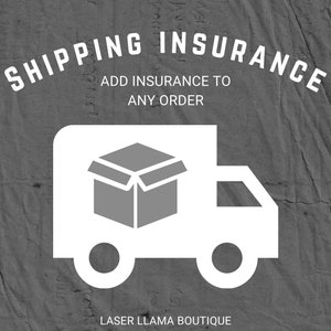 Shipping Insurance for Orders over 100 dollars
