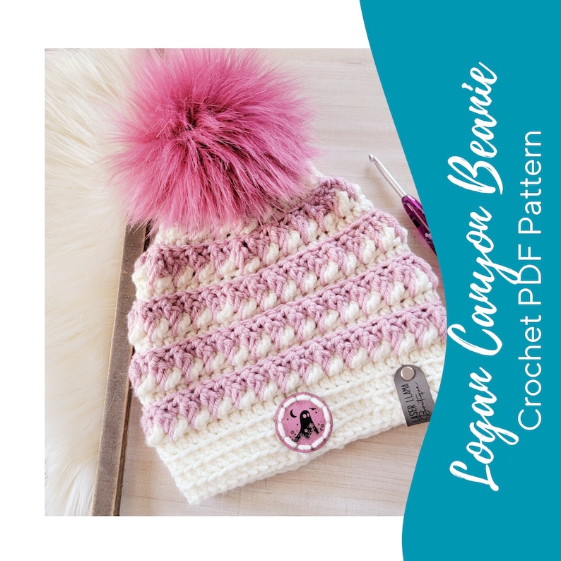 Logan Canyon Crochet Beanie Pattern PDF Instant Download Intermediate Level Picture and Video Tutorials 4 sizes REVERSIBLE Design image 1