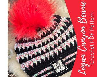 Logan Canyon Crochet Beanie Pattern ~ PDF Instant Download ~ Intermediate Level ~ Picture and Video Tutorials ~ 4 sizes ~ REVERSIBLE Design