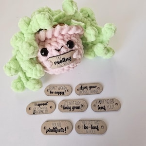 May include: A pink and green crocheted succulent with a variety of wooden tags with encouraging messages. The tags include phrases like "I'm rooting for you", "Don't worry be sappy!" and "You're planttastic!"
