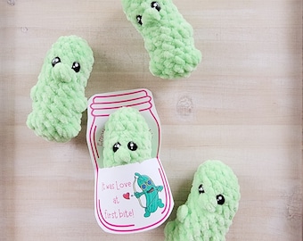 Mini Pickle Pal & Printable Display Cards~Printable Pickle Cards~20 Card Designs~Beginner Crochet Pattern