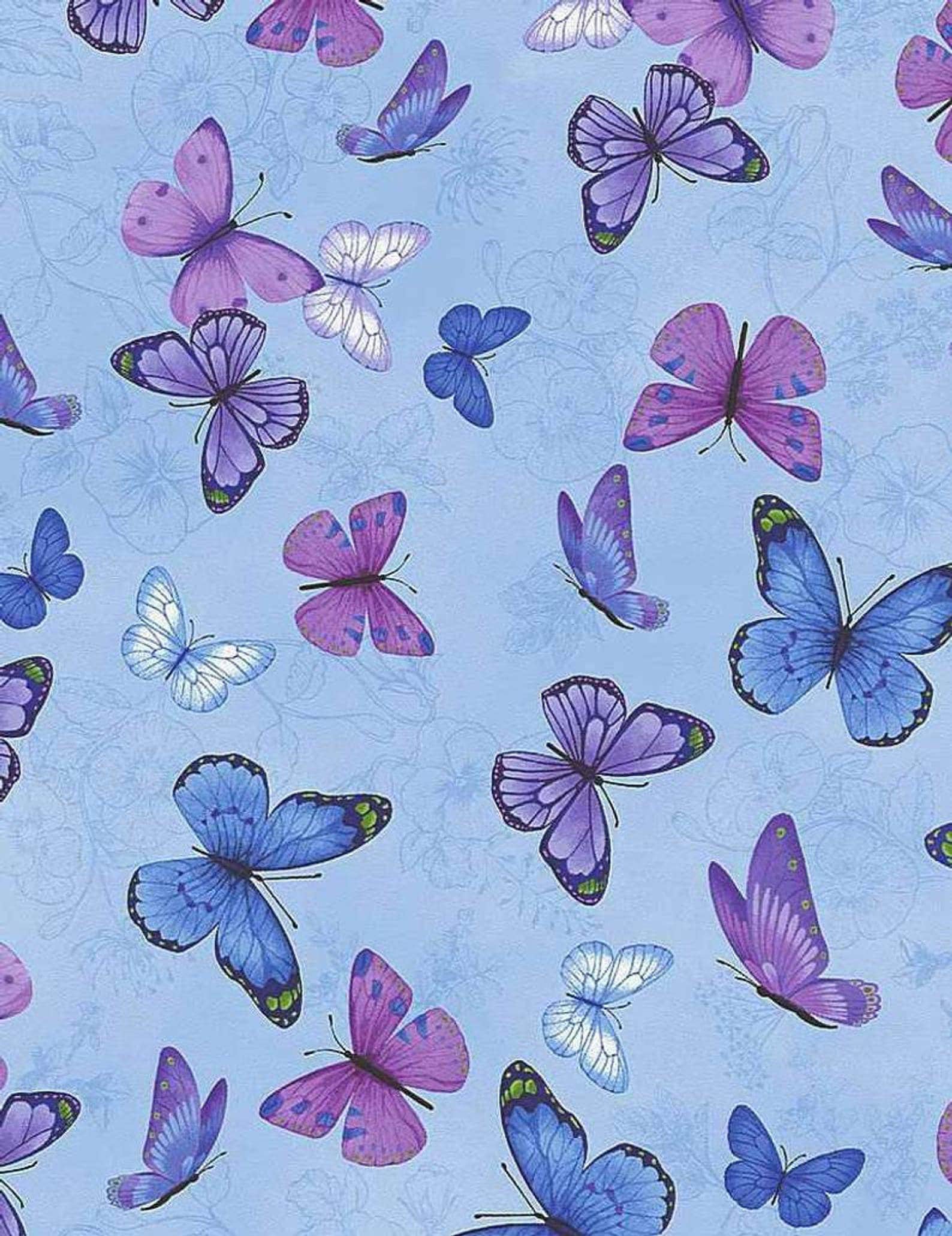 Butterfly Fabric Butterflies on Blue Timeless Treasures Etsy