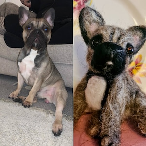 Custom needle felted pet portrait