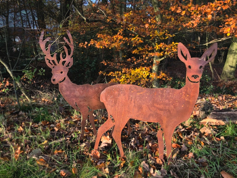 Cerf Edelrost, cerf, animal, fer, rouille, décoration de jardin, décoration de jardin, métal Reh+Rebock SET