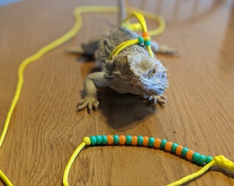 Pocket Pet and Lizard Harness w/ Leash