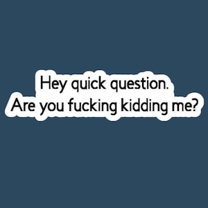 Are You Fucking Kidding Me Glossy Vinyl Sticker, Funny Quote Decal