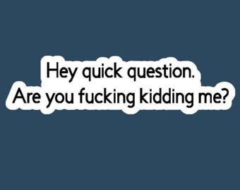 Are You Fucking Kidding Me Glossy Vinyl Sticker, Funny Quote Decal