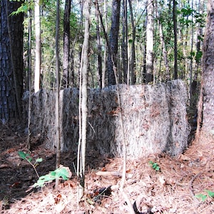 May include: A camouflage hunting blind made of natural materials, blending into a forest environment. The blind is rectangular and positioned among trees, with sunlight filtering through the foliage. The ground is covered in leaves and pine needles.