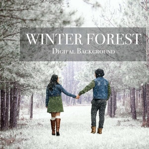 Winter Snowy Forest Digital Photography Background - Backdrop