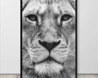 Lion Portrait Print - Black and White Lion Face Close Up, African Wildlife Photography, Fine Art Animal Wall Art, Safari Decor
