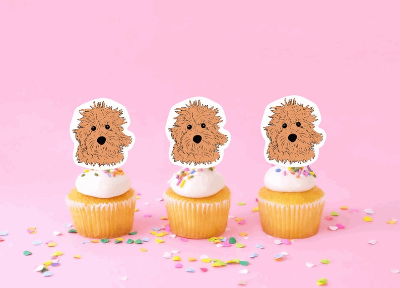goldendoodle cupcakes