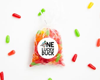 Thank You Stickers | Mallard Duck Birthday | One Lucky Duck | Party Bag Stickers | 1st Birthday | First Birthday Stickers |